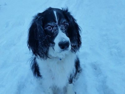 20161204_140811.jpg