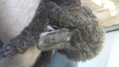 20161101_105601.jpg
