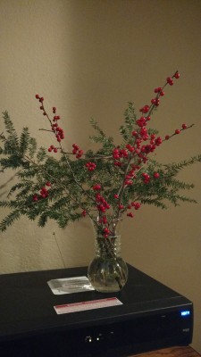 IMG_20161208_193341166.jpg
