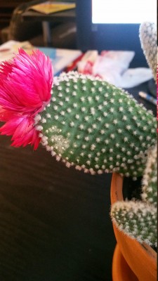20161210_143536.jpg