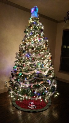 20161217_193622-1.jpg