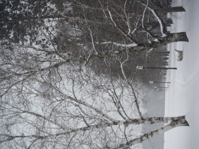 DSCF5070.JPG