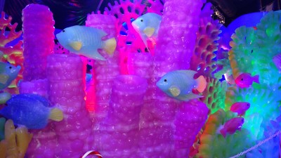 IMG_20161221_175150609.jpg