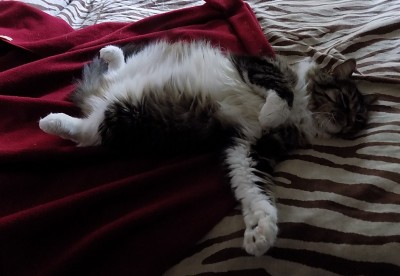 DSCN3067.JPG