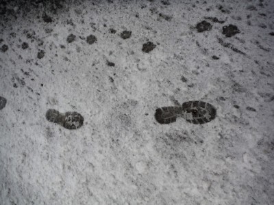 DSCF5410.jpg