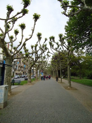 DSC01204.JPG