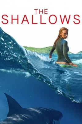 The shallows.jpg