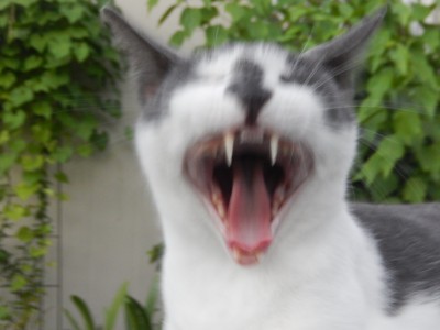 77.jpg