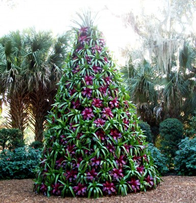 Bok Garden.JPG