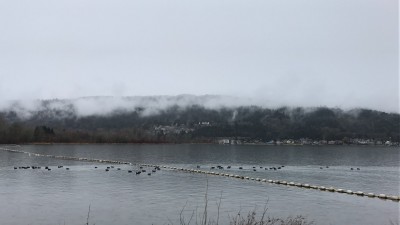 IMG_6426.JPG