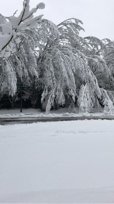 IMG_6473.JPG