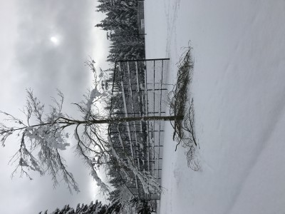 IMG_6482.JPG