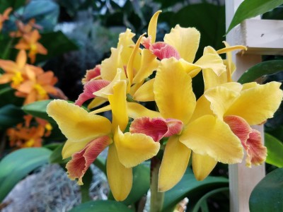 20170211_103705.jpg