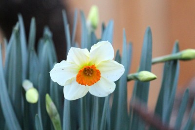 IMG_0891.JPG