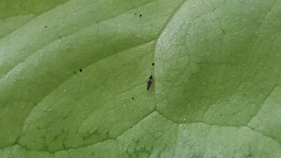 20170221_082913.jpg