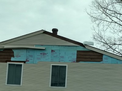 IMG_20170310_113556.jpg