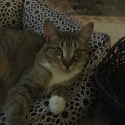 17308860_10212414625464494_4363480732880824248_n (1).jpg