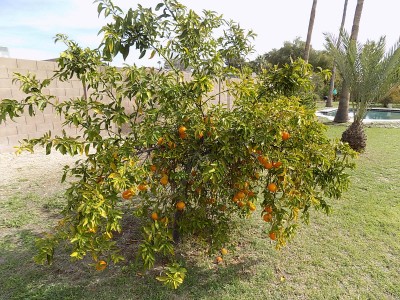 DSCN3200.JPG