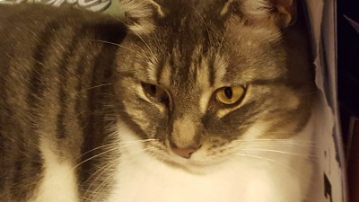 20170320_153931.jpg