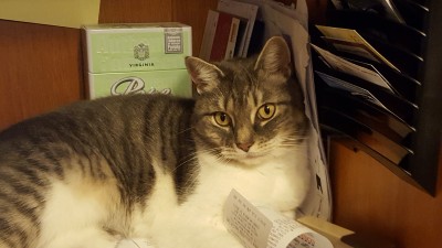 20170320_153920.jpg