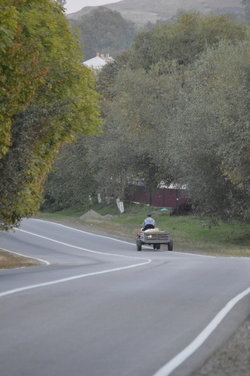 rsz_1rsz_dsc_0362.jpg