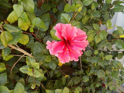 DSCN3352.JPG