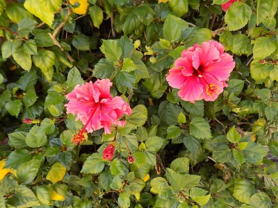 DSCN3353.JPG