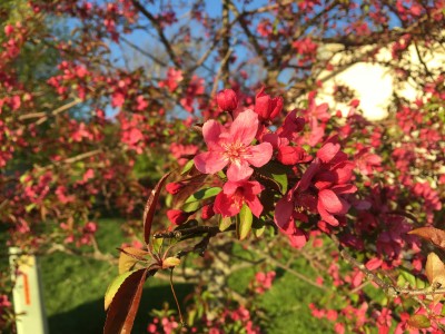 IMG_8040.JPG
