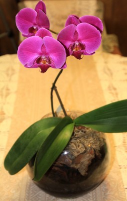 IMG_9405.JPG