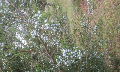 20170505_081432.jpg