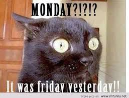 WhatsApp Image 2017-04-18 at 8.33.53 PM.jpeg