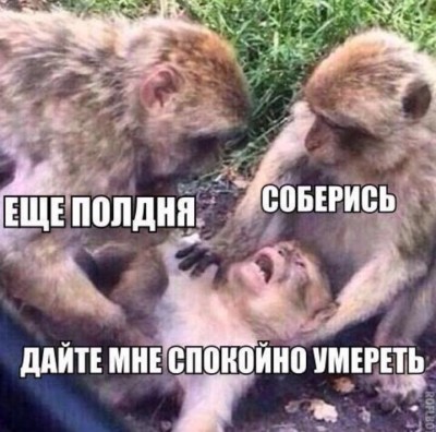 WhatsApp Image 2017-04-18 at 8.34.46 PM.jpeg