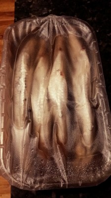 IMG_20170508_211154.jpg