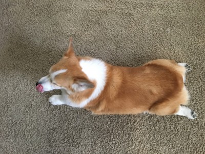 image.jpeg