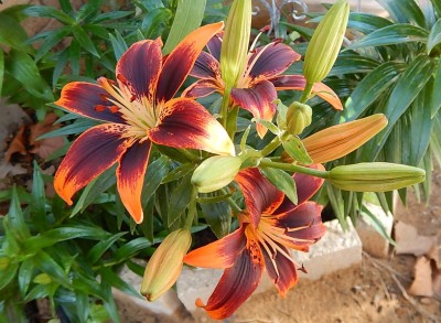 DSCN0295.JPG