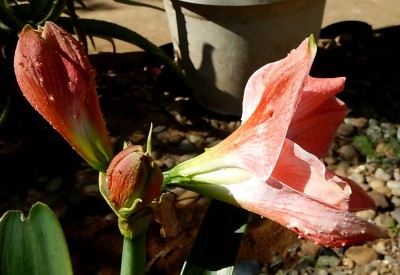 DSCN0476.JPG