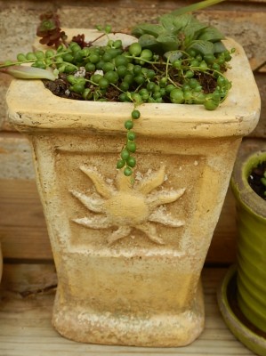 DSCN0728.JPG