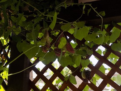 DSCN3884.JPG