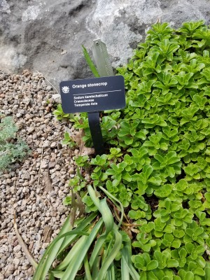 20170519_122551.jpg