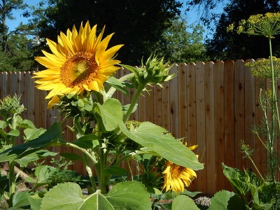 DSCN1034.JPG