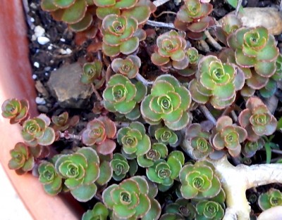 DSCN1032.JPG