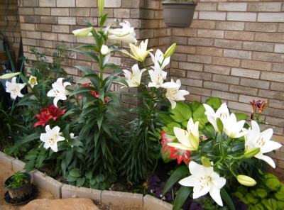 DSCF2160.JPG