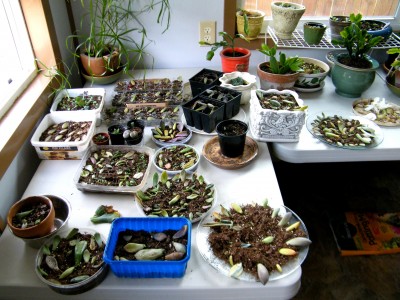 DSCF2178.JPG