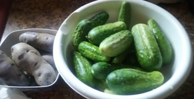 20170613_105128.jpg