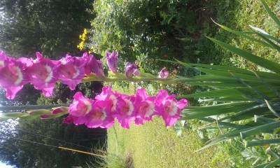 20170613_105732.jpg