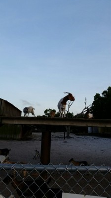 0-02-01-c61a5190f18e28b3ac9cf2fd83f259e8f97a9c36123f1adde36dc8d38b0aa3bd_full.jpg