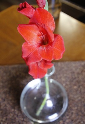 _MG_7358.JPG