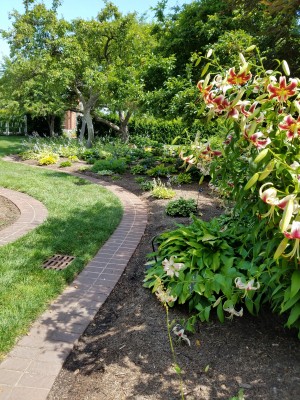 20170703_105631.jpg