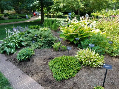 20170703_105729.jpg