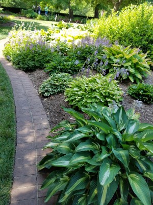 20170703_105814.jpg
